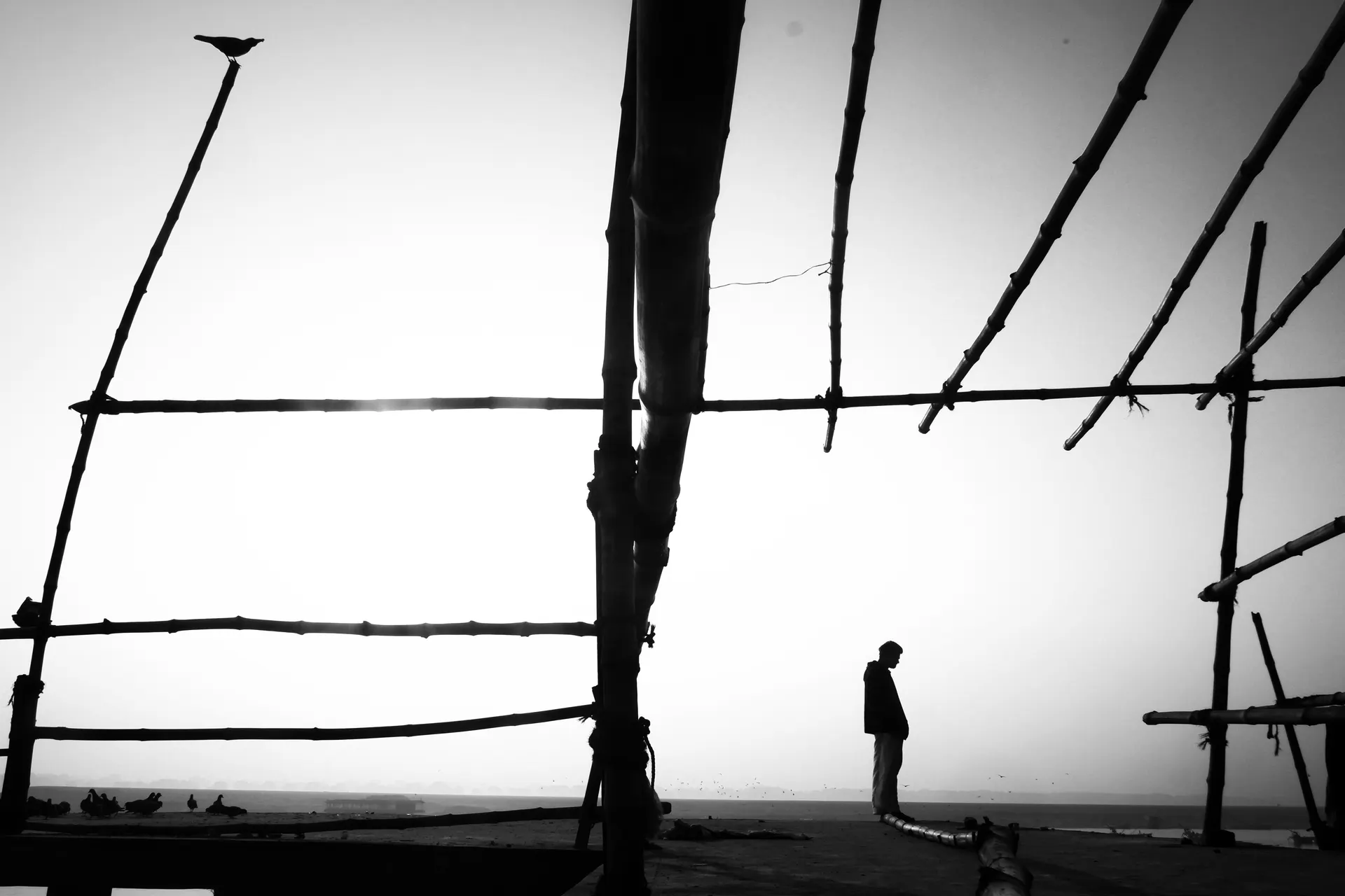 Street Photography Black & White 14